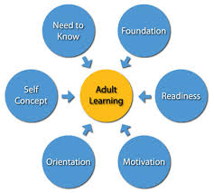 Adult Learner Theory 17
